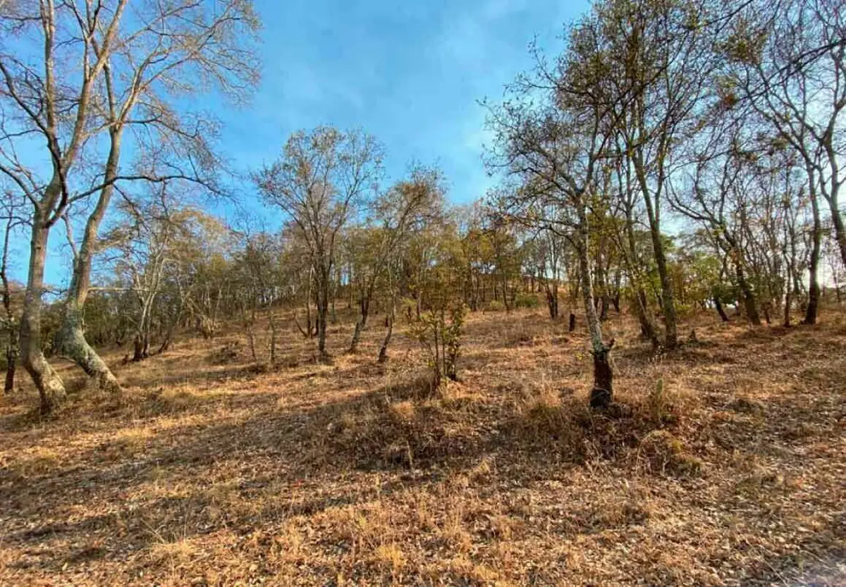 Terreno en venta en Jesus del Monte, Morelia — foto 1 de 5