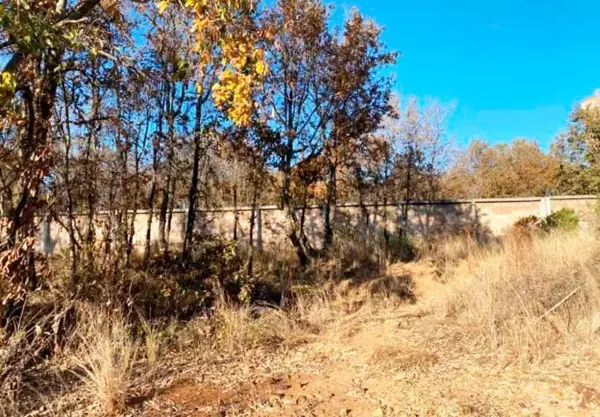Terreno en venta en Montaña Monarca I, Morelia — foto 2 de 3