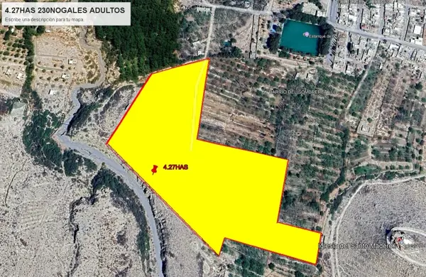 HUERTA DE NOGALLES ADULTOS CON 30 HORAS DE AGUA A 10 MINUTOS DE CENTRO DE PARRAS HUERTA DE NOGALLES ADULTOS CON 30 HORAS DE AGUA A 10 MINUTOS DE CENTRO DE PARRAS
