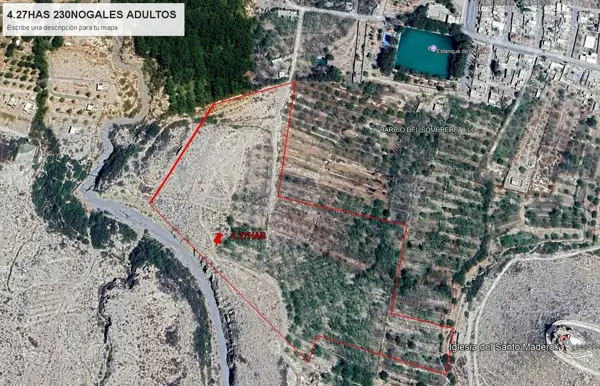 Terreno en venta en Sombreretillo, Parras — foto 2 de 8