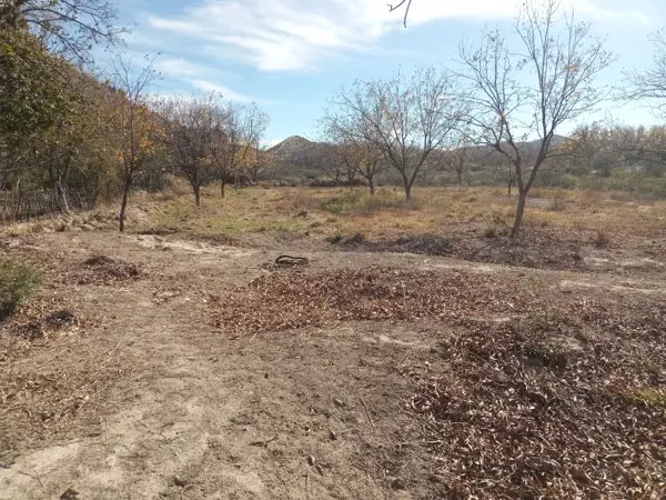 Terreno en venta en Sombreretillo, Parras — foto 3 de 8