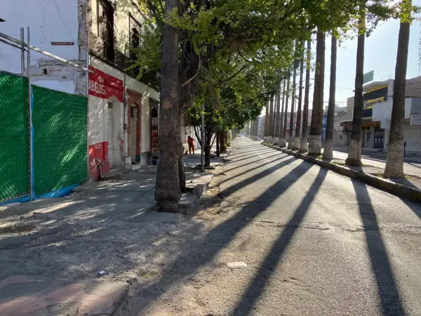 Terreno en Venta Centro Torreon