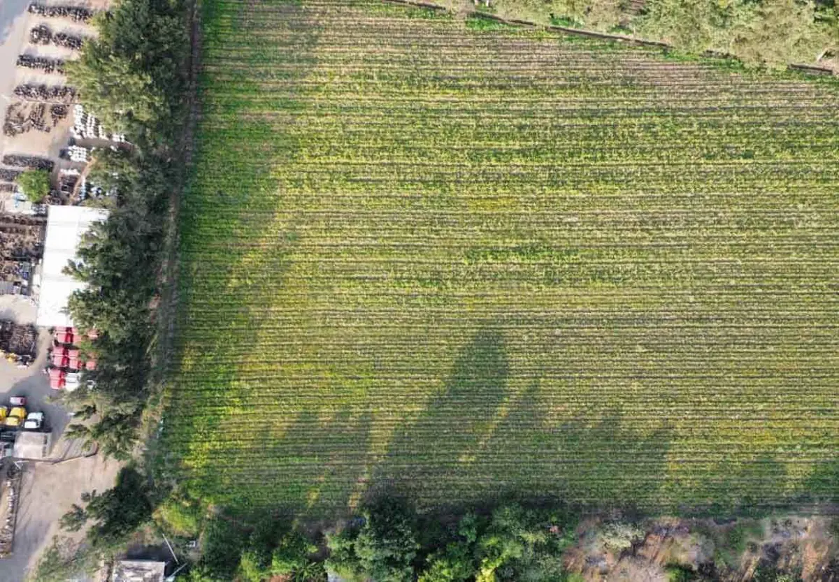 Terreno en venta en Tarímbaro, Tarímbaro — foto 1 de 7