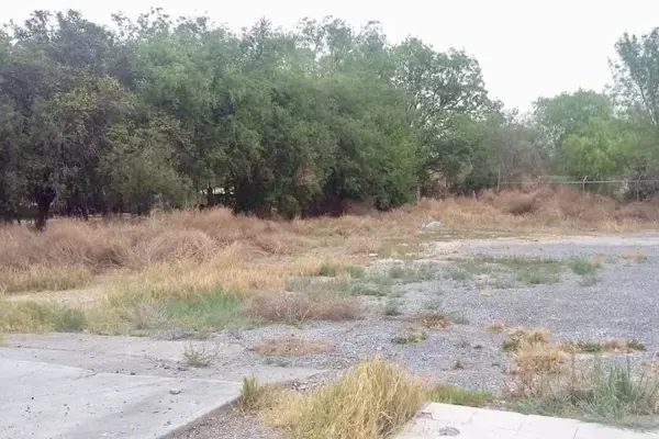 Terreno en renta en Los Gonzalez, Saltillo — foto 2 de 10