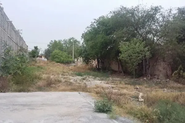 Terreno en renta en Los Gonzalez, Saltillo — foto 3 de 10