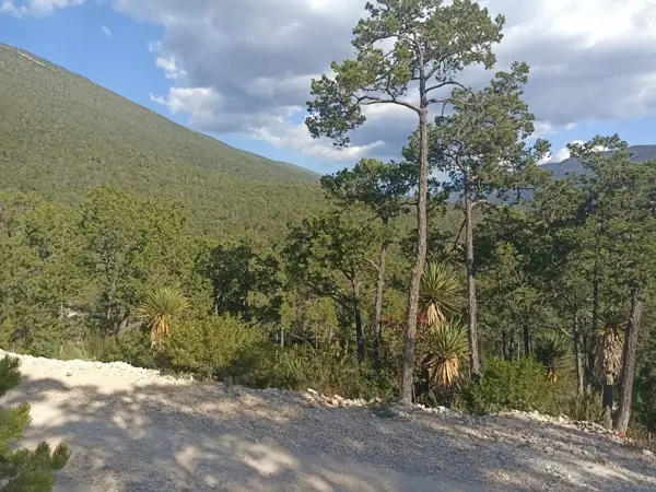 Terreno en venta en San Antonio de las Alazanas, Arteaga — foto 2 de 16