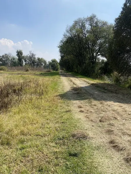 Terreno en venta en Santa Cruz Aquiahuac, Tetlatlahuca — foto 3 de 11