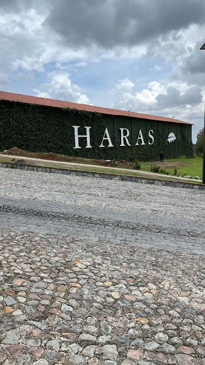 Terreno en venta en Flor del Bosque, Amozoc — foto 1 de 13