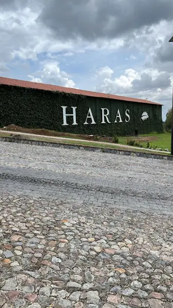 Terreno en venta en Puebla Haras ciudad ecológica 800 metros