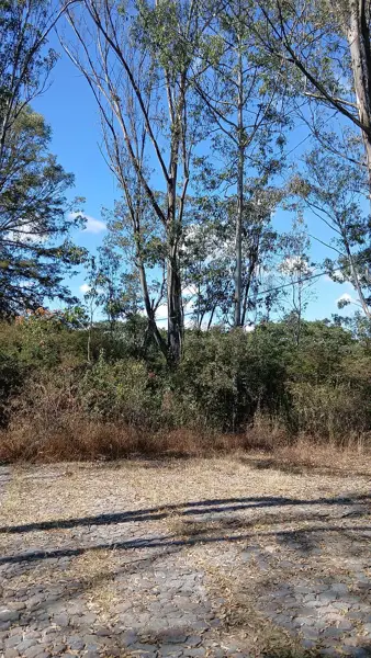 Terreno en venta en Campestre Haras, Amozoc — foto 2 de 5
