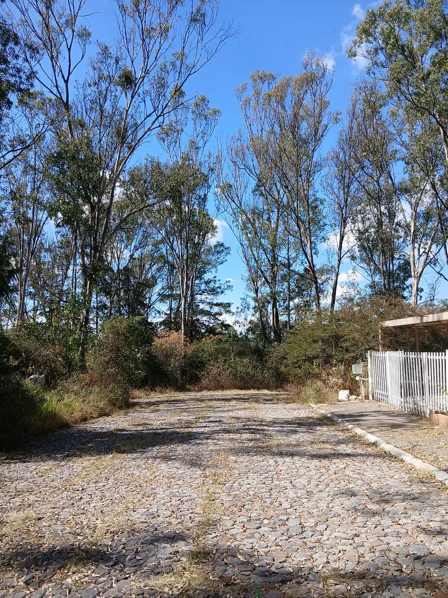 Terreno en venta en Campestre Haras, Amozoc — foto 1 de 5