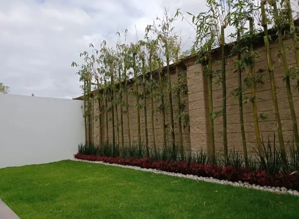 Casa en venta en Puebla lomas de angelopolis parque sonora a estrenar Casa en venta en Puebla lomas de angelopolis parque sonora a estrenar