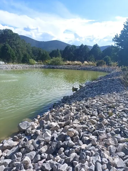 Terreno en venta en San Antonio de las Alazanas, Arteaga — foto 3 de 11