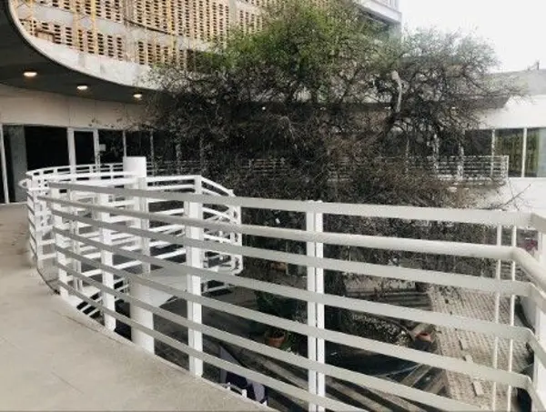 Local en renta en Del Norte, Monterrey — foto 3 de 14