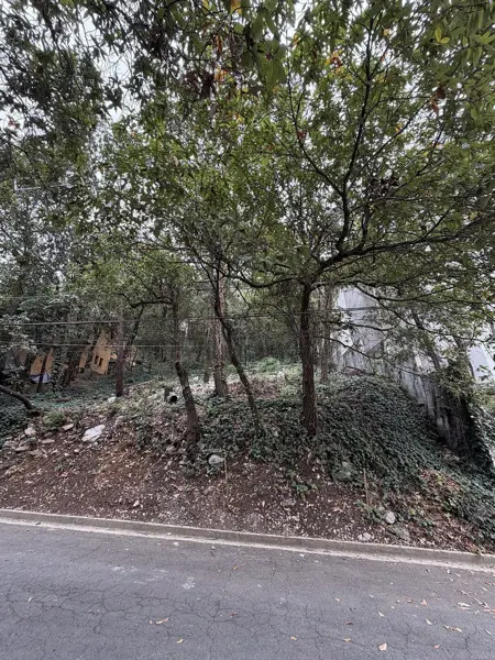 Terreno en venta en Bosques de San Ángel Sector Palmillas, San Pedro Garza García — foto 3 de 7