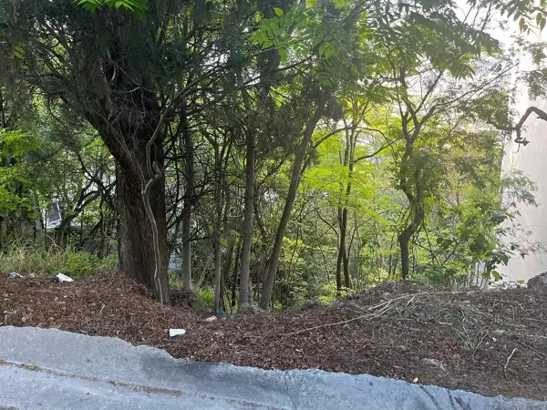 Terreno en venta en La Cima 3er Sector, San Pedro Garza García — foto 2 de 6