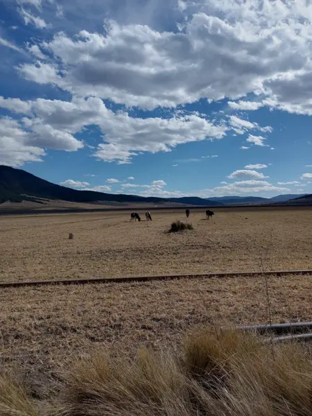 Terreno en venta en Los Llanos, Arteaga — foto 3 de 8