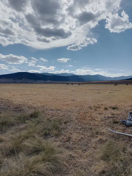 Terreno en venta en Los Llanos, Arteaga — foto 2 de 8