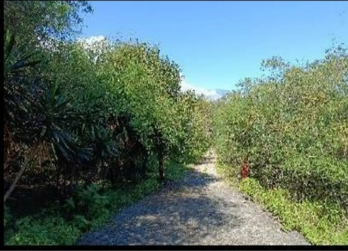 Terreno en venta en San Francisco, Santiago — foto 1 de 10