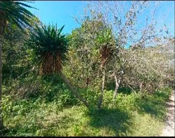 Terreno en venta en San Francisco, Santiago — foto 3 de 10