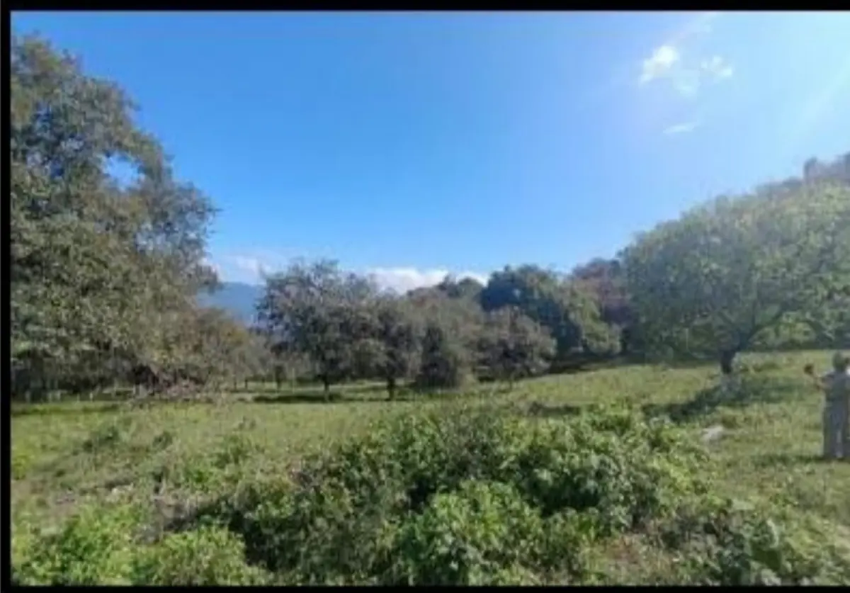 Terreno en venta en San Francisco, Santiago — foto 1 de 10