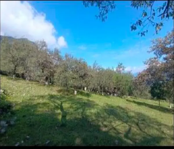 Terreno en venta en San Francisco, Santiago — foto 3 de 10