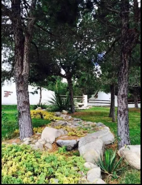 Terreno en venta en El Diamante, Arteaga — foto 3 de 14