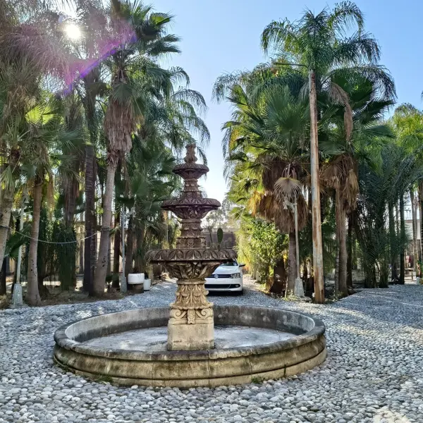 Quinta en venta en Los Olivos Residencial, Santiago — foto 3 de 16