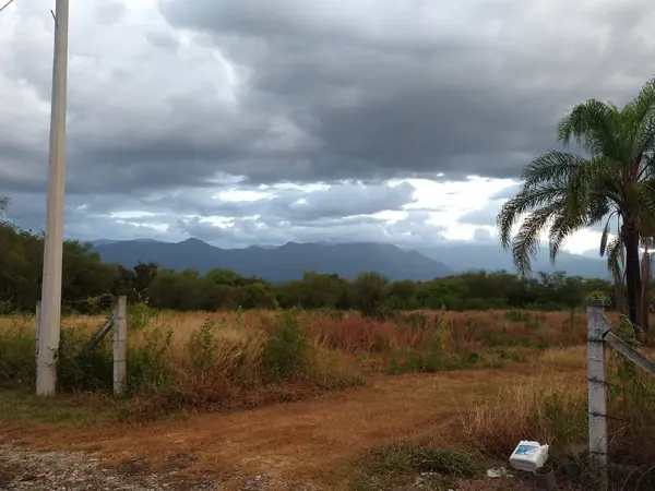 Terreno en venta en Congregación Calles, Montemorelos — foto 3 de 7