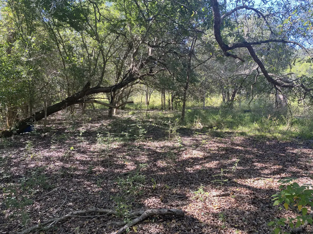Terreno en venta en Real del Valle, Montemorelos — foto 1 de 20