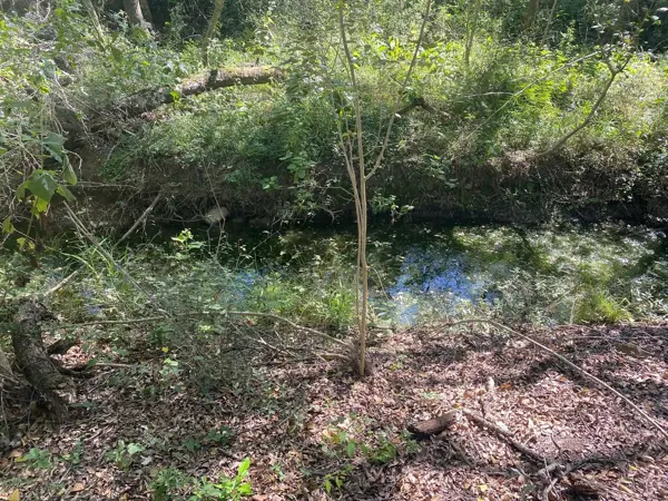 Terreno en venta en Real del Valle, Montemorelos — foto 3 de 20