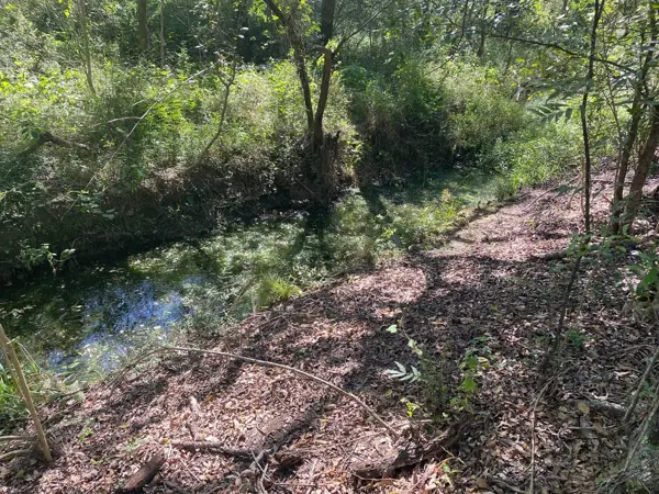 Terreno en venta en Real del Valle, Montemorelos — foto 2 de 20