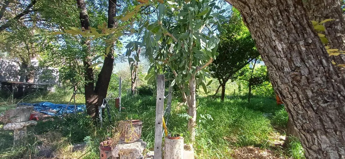 Terreno en venta en El Uro, Monterrey — foto 1 de 7