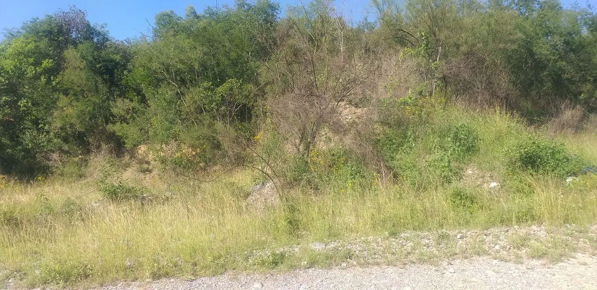 Terreno en venta en La Lobita, Juárez — foto 1 de 8