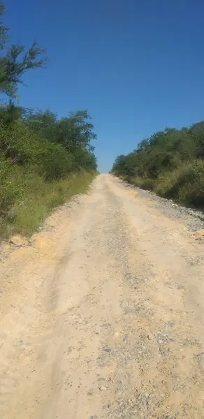 Terreno en venta en La Lobita, Juárez — foto 3 de 8