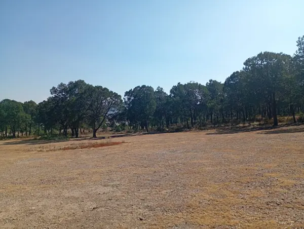 Terreno en Venta en el Cedrito Arteaga — foto 1 de 9