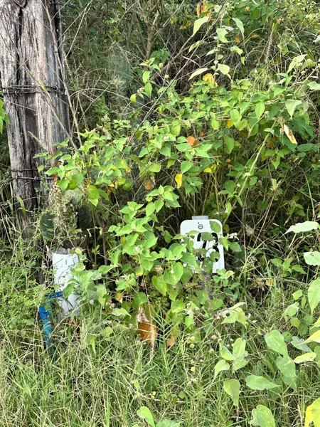 Terreno en venta en San Andres, Santiago — foto 3 de 12