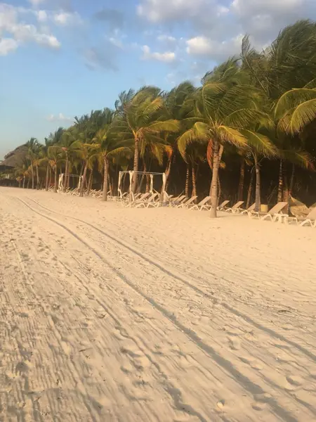 Terreno en venta en Champoton Centro, Champotón — foto 3 de 15