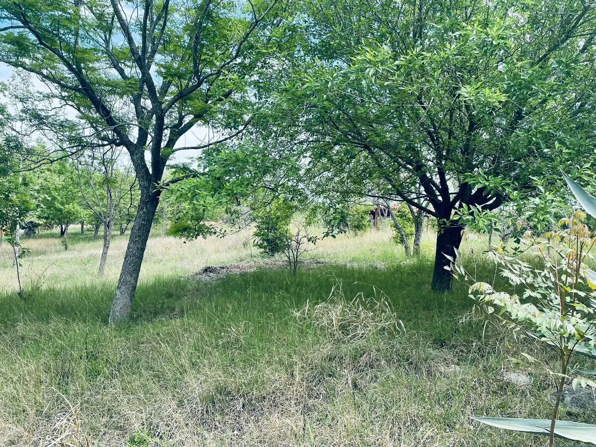 Terreno en venta en Los Nogales, Montemorelos — foto 1 de 4