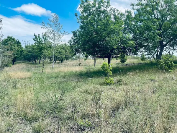 Terreno en venta en Los Nogales, Montemorelos — foto 3 de 4