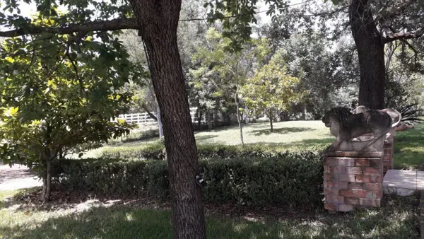 Quinta en venta en San Miguel, Montemorelos — foto 2 de 12