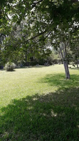 Quinta en venta en San Miguel, Montemorelos — foto 3 de 12