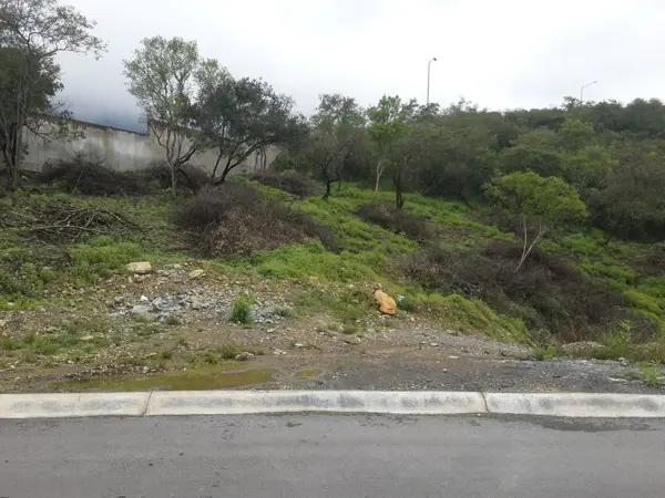 Terreno en venta en Sierra Alta 9o Sector, Monterrey — foto 2 de 5