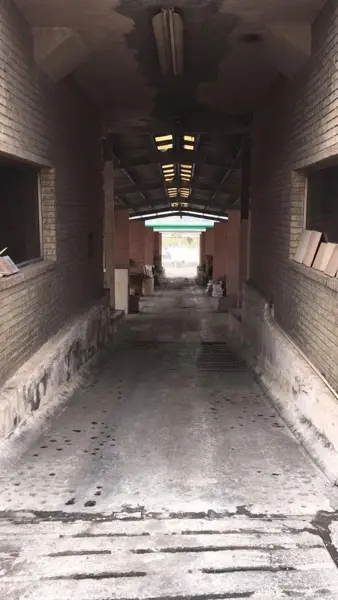 Bodega en renta en Barrio Topo Chico, Monterrey — foto 2 de 4