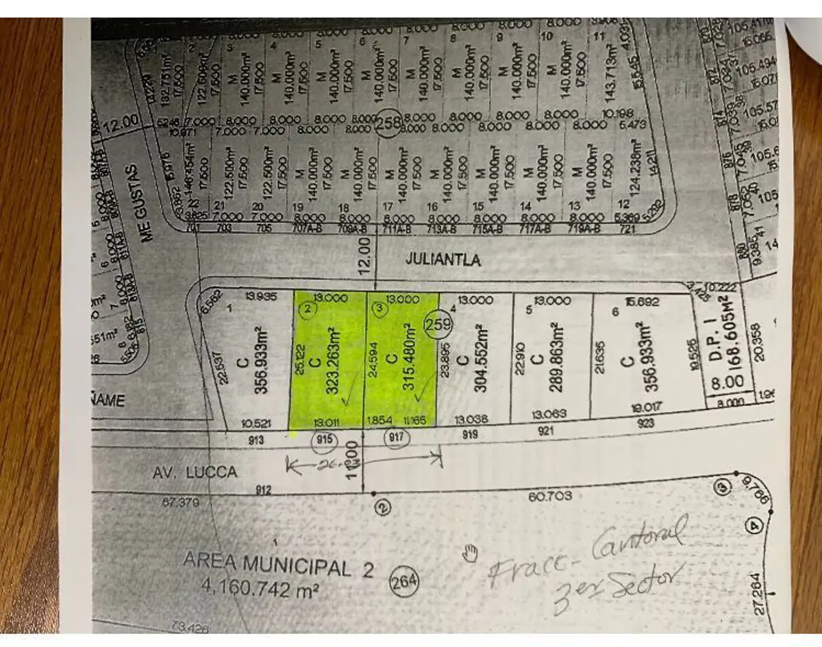 Terreno en venta en Lomas de San Martín, Pesquería — foto 1 de 8