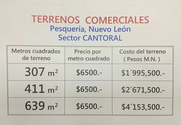 Terreno en venta en Lomas de San Martín, Pesquería — foto 3 de 6
