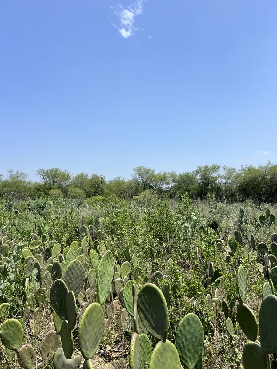 Quinta en venta en Los Sabinos, Allende — foto 1 de 16