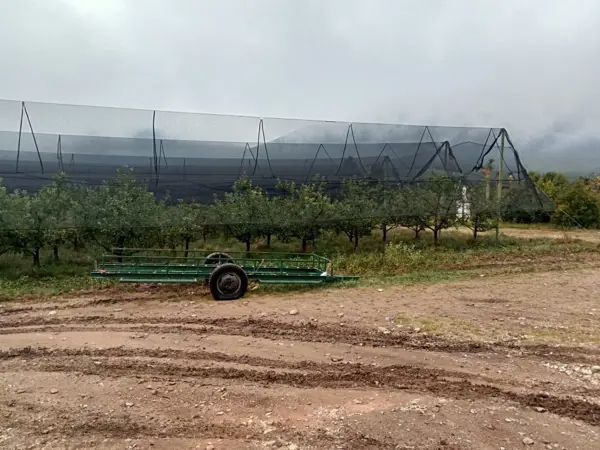 Finca-Rancho en venta en Huachichil (El Huache), Arteaga — foto 3 de 8