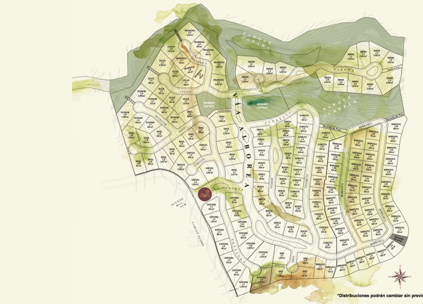 Terreno en venta en Huajuquito o los Cavazos, Santiago — foto 3 de 10