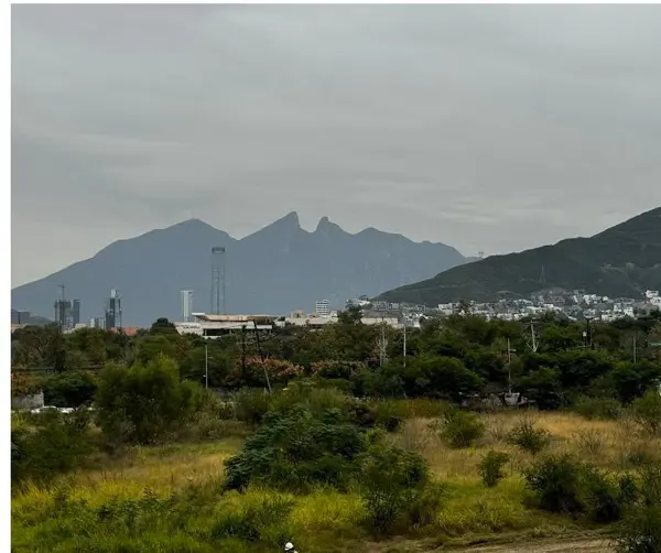Oficina en renta en Valle Del Campestre, San Pedro Garza García — foto 3 de 9